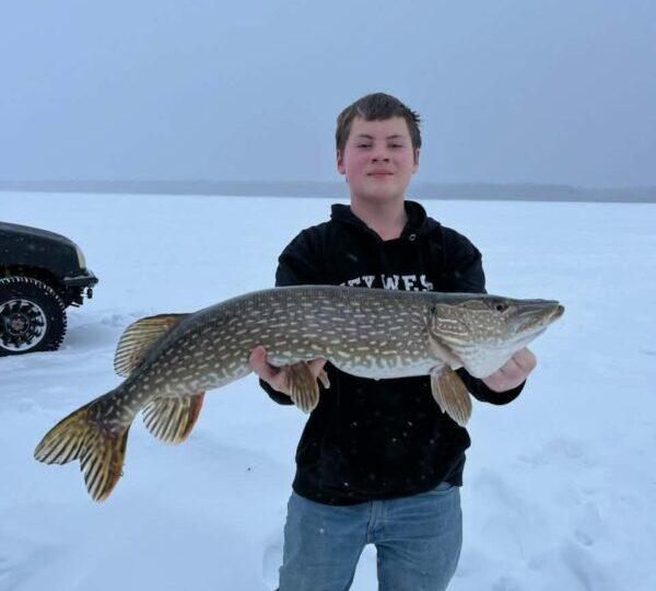 d65c21fa-edec-42c3-967d-be711469872f